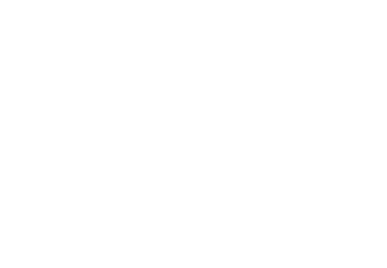 Vestuvių fotografė Laura Žygė